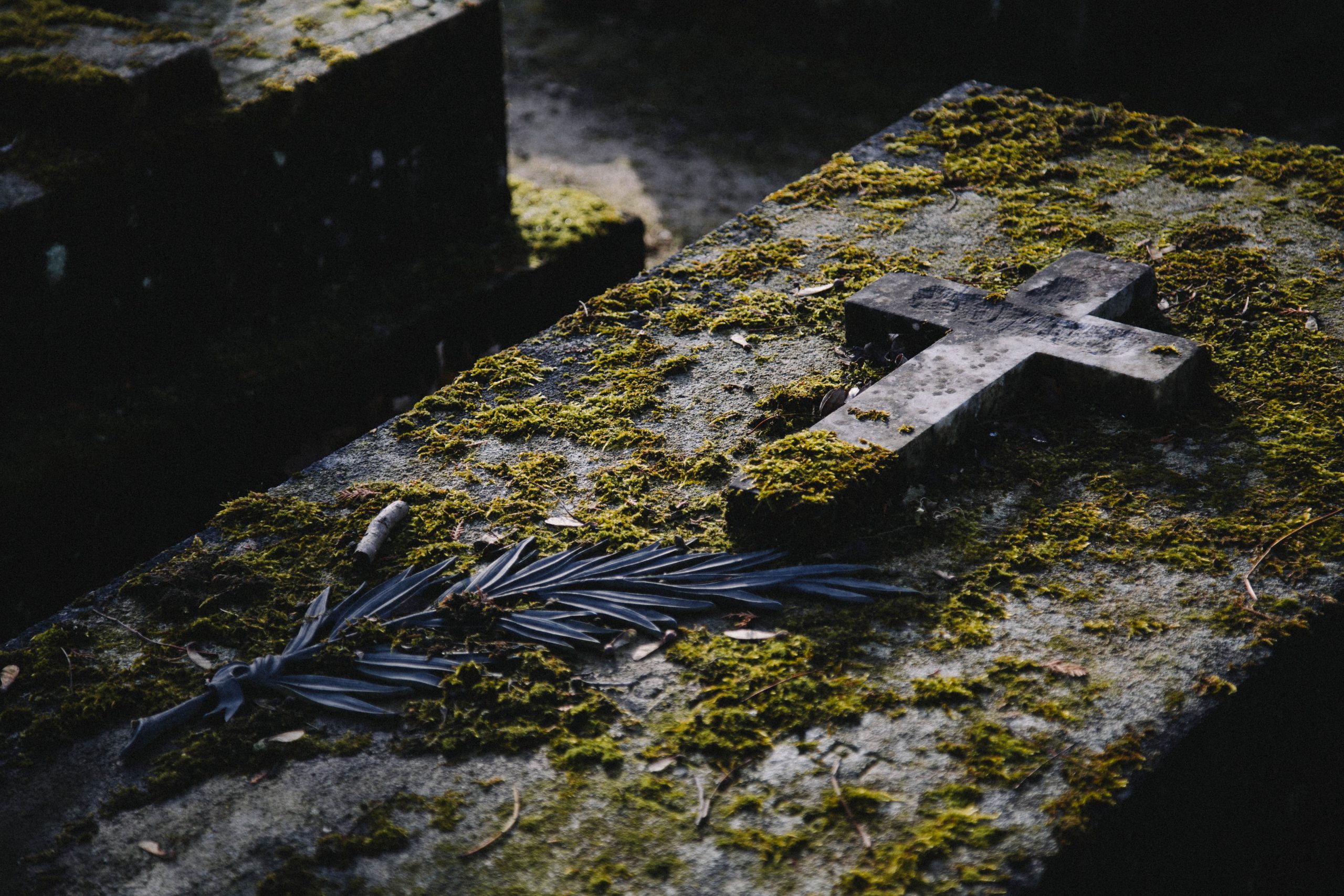 Scopre tradimento moglie morta e imbratta cimitero